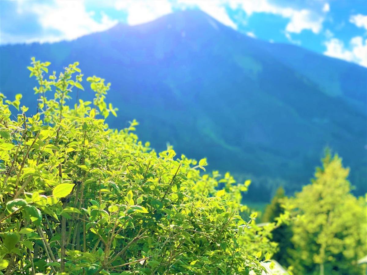 ホーエンタウアーン Uriges Chalet Auf Ueber 1250M +Dampfbad +Netflix!ヴィラ エクステリア 写真